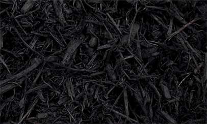 black dyed mulch